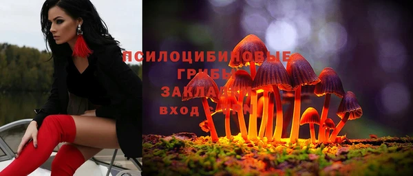 гашик Бородино