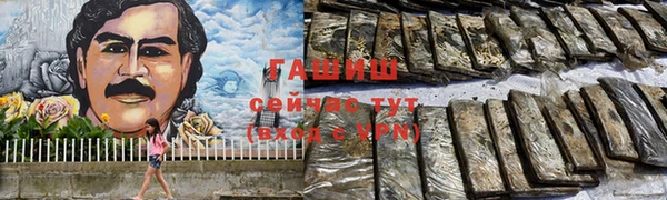 гашик Бородино