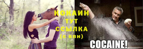гашик Бородино