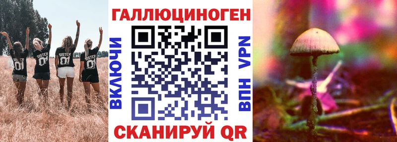 купить наркотики сайты  ссылка на мегу вход  Псилоцибиновые грибы MAGIC MUSHROOMS  Тамбов 