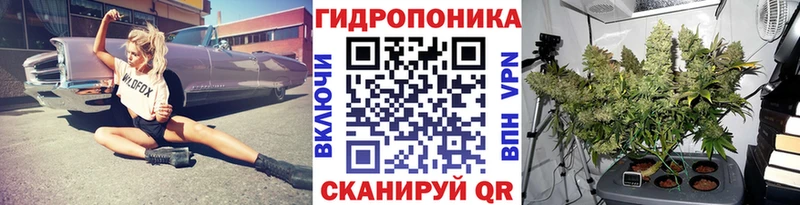 Бошки Шишки планчик  Тамбов 